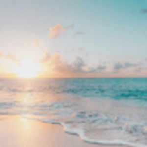 Meet your Posher, Michelle barongo